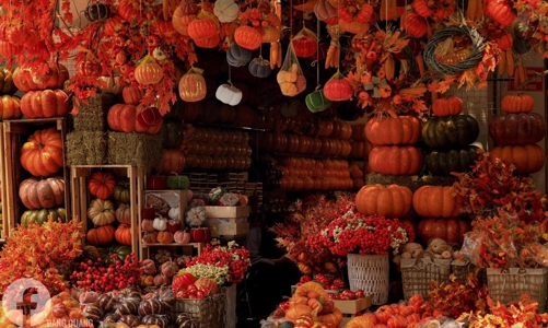 Thị trường trang trí Halloween: Thận trọng với hàng giá rẻ không rõ xuất xứ