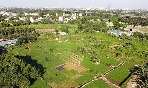 Đà Nẵng ban hành quy định mới về bồi thường khi bị thu hồi đất