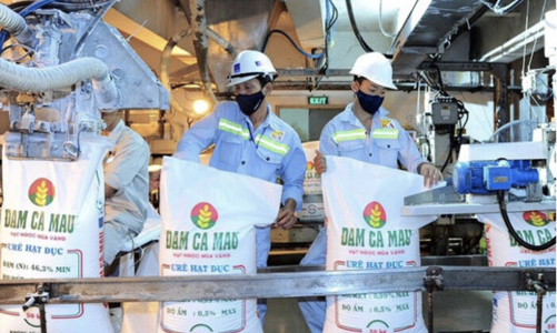 BSC: Lợi nhuận nhóm phân bón sẽ bùng nổ nếu được áp thuế VAT, cổ phiếu đang rẻ 