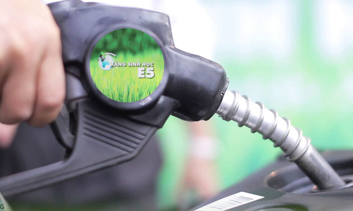 Xăng sinh học dần thu hút người tiêu dùng Việt