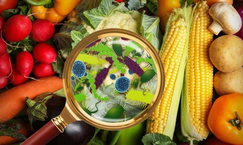 Nguy cơ ngộ độc luôn tiềm ẩn khi sử dụng thực phẩm hằng ngày