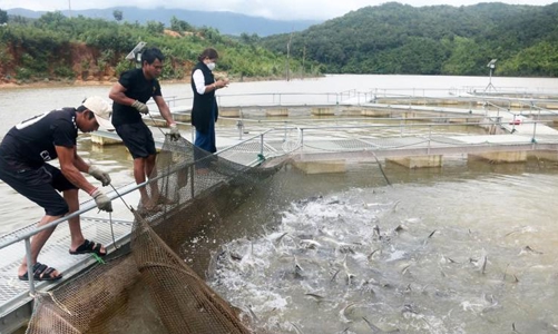 Chuyển đổi xanh cho ngành chăn nuôi, thủy sản tại Việt Nam