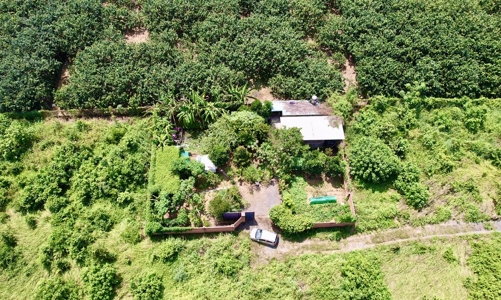 Đồng Nai cho phép xây dựng công trình trên đất nông nghiệp từ 25 – 100 m2