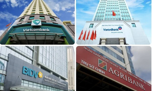 Đại biểu Quốc hội kiến nghị cho phép ngân hàng thương mại cổ phần Nhà nước chủ động tăng vốn điều lệ