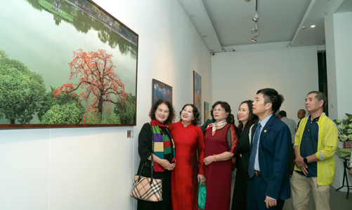 Triển lãm ảnh và sách ảnh 