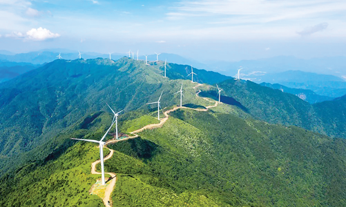 Việt Nam cần xây dựng chiến lược riêng để chuyển đổi xanh