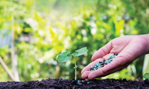 Xanh hóa sản xuất hóa chất và phân bón: Chờ những cú hích từ chính sách