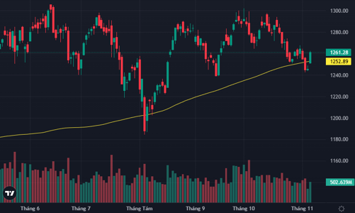 Dòng tiền đổ vào sàn, cổ phiếu đua giá, VN-Index tăng mạnh nhất 7 tuần