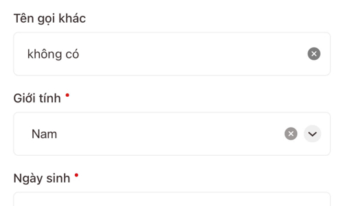 TP.HCM thí điểm cấp Phiếu lý lịch tư pháp trên ứng dụng VNeID