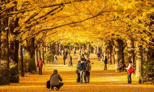 Mùa du lịch Thu Đông: Du khách Việt chuộng xuất ngoại