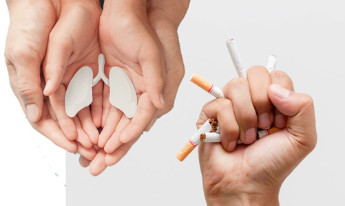 CIEM nghiêng về phương án đánh thuế tiêu thụ đặc biệt với thuốc lá đủ mạnh và dài hơi