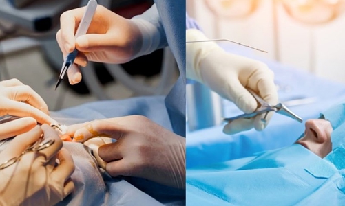 Đại biểu Quốc hội lo ngại về tình trạng bác sĩ “dởm” hành nghề