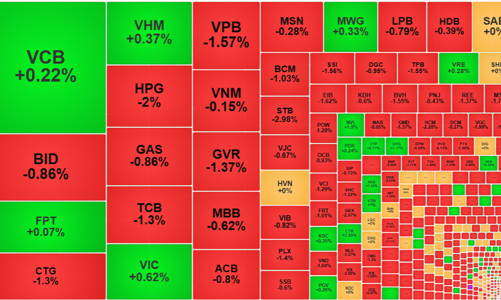 VN-Index thủng đáy, cổ phiếu rơi đỏ sàn