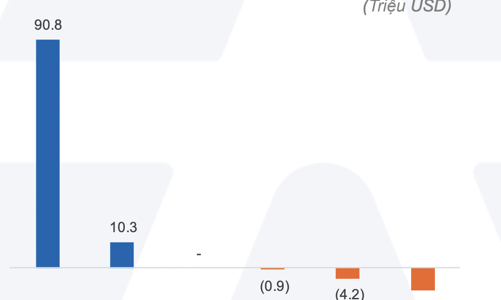 Dòng vốn ETF tiếp tục rời chứng khoán Việt Nam, đổ mạnh vào cổ phiếu Mỹ 