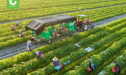 Xuất khẩu cần bắt kịp xu hướng chính sách thương mại của EU 