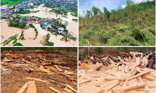 Việt Nam cần xây dựng chiến lược tài chính và bảo hiểm rủi ro thiên tai