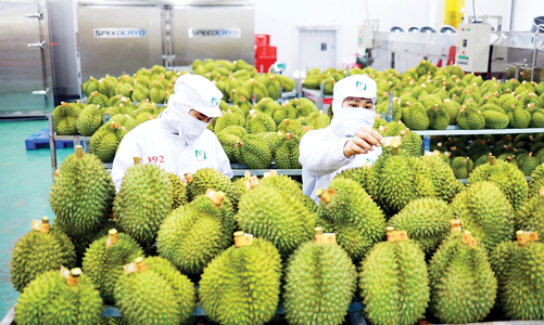 Hướng đi bền vững cho xuất khẩu rau quả sang Trung Quốc