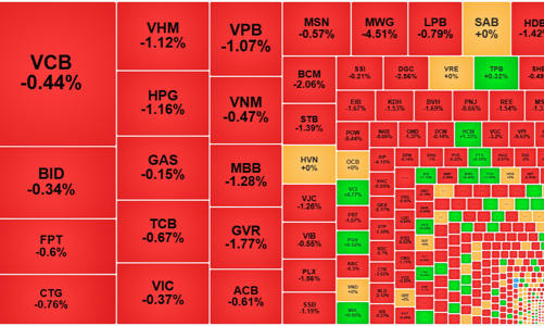 Bán tháo chưa dừng, VN-Index về sát mốc 1200 điểm, khối ngoại rút ròng 966 tỷ