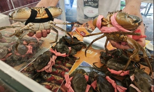 Cua ghẹ Việt Nam “đắt hàng” tại Trung Quốc