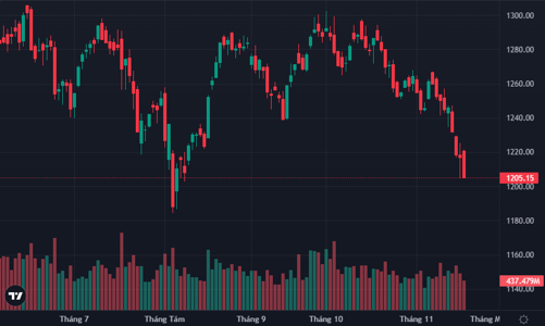 Vốn nội không đỡ nổi, VN-Index lại rơi sát vùng 1200 điểm