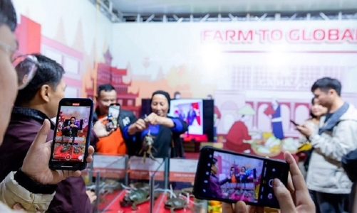 Livestream sẽ là tâm điểm của Online Friday 2024