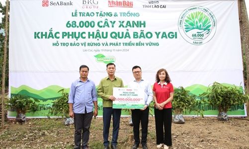SeABank và Tập đoàn BRG chung tay trồng 68.000 cây phủ xanh gần 20ha rừng tại Lào Cai