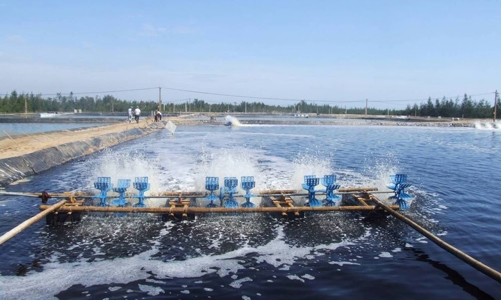 Ưu tiên phát triển các mô hình xanh, kinh tế tuần hoàn để bảo vệ môi trường ngành thuỷ sản 