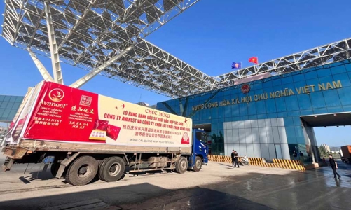 Xuất lô hàng tổ yến đầu tiên qua lối thông quan cầu Bắc Luân II sang Trung Quốc