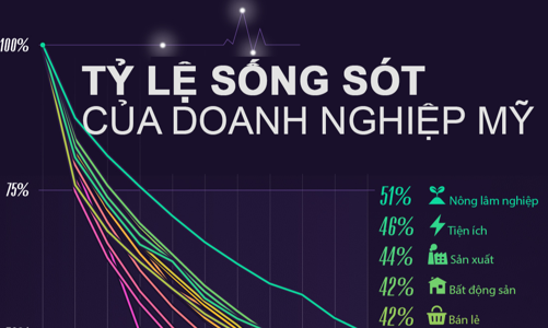 Tỷ lệ sống sót của doanh nghiệp tư nhân Mỹ sau 1 thập kỷ