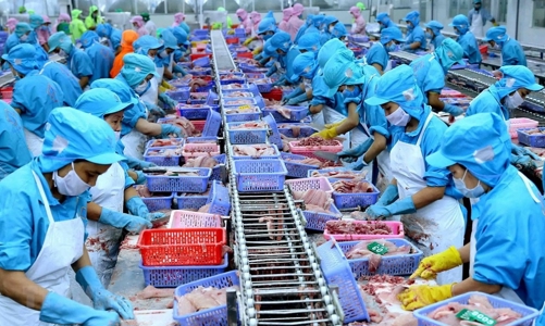 Xuất khẩu thủy sản 10 tháng đạt trên 8,3 tỷ USD, các mặt hàng chủ lực tăng trưởng tích cực 