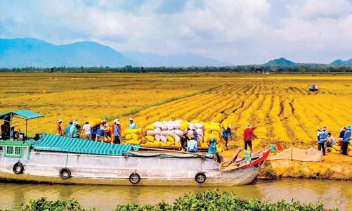Giải bài toán nguồn vốn để đánh thức “vùng đất chín rồng”