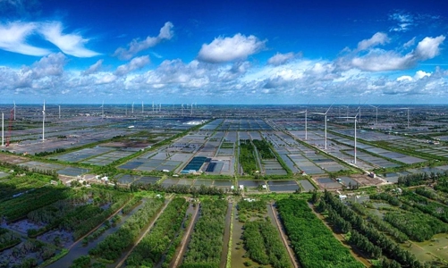 Đầu tư xanh: Cách tiếp cận mới để phát triển bền vững 