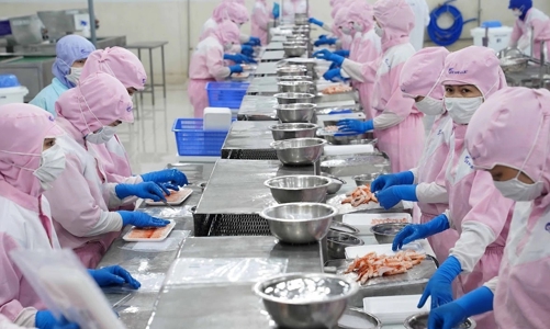 Gỡ vướng cho doanh nghiệp trong cấp giấy xác nhận nguyên liệu, khai thác thủy sản