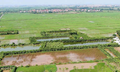 Nông dân được sử dụng đất đa mục tiêu