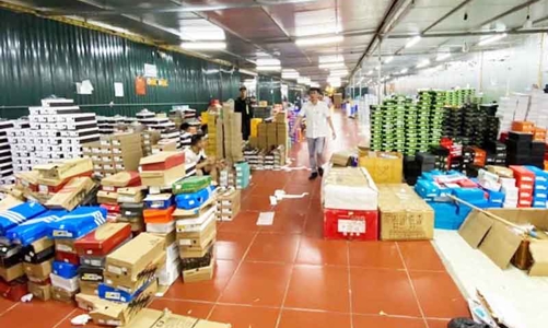 Phát triển ngành logistics để thúc đẩy nhu cầu kho xưởng