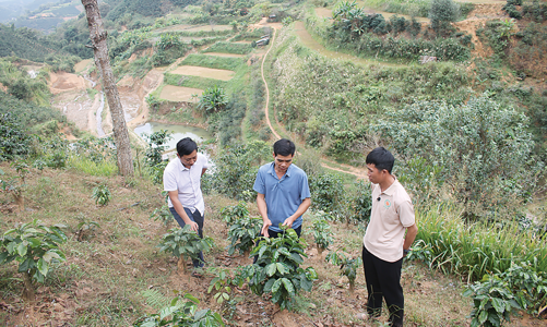 Tây Bắc phát triển nông nghiệp sinh thái - tuần hoàn 