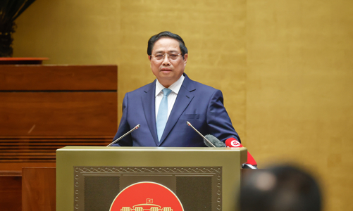 Năm 2025 vừa phải 