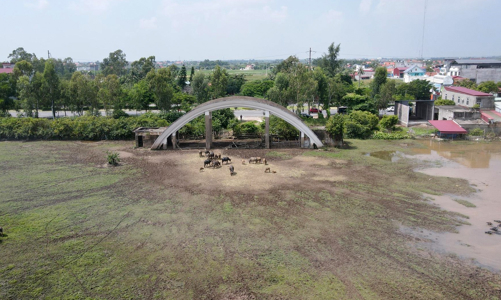 [Bài 1]: Hải Phòng thu hồi 13 dự án vi phạm đất đai theo nghị quyết của Hội đồng nhân dân