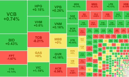 Rung lắc “đón khách”, khối ngoại bán ròng gần 200 tỷ ở FPT