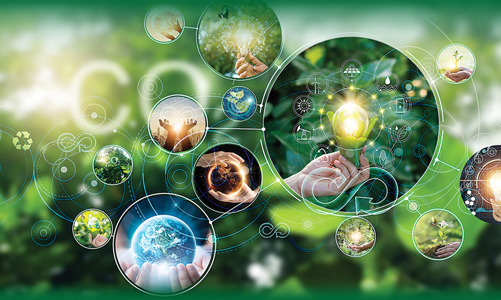 5 năm để hành động