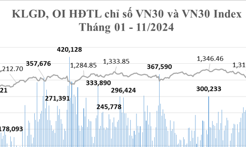 Tháng 11, hợp đồng tương lai Trái phiếu chính phủ tiếp tục không có giao dịch