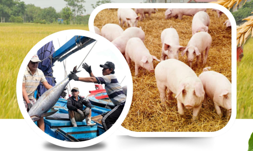 Xuất khẩu nông lâm thuỷ sản đã lập kỷ lục 56,7 tỷ USD