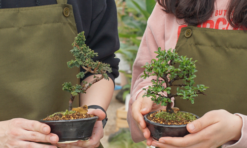 Muôn cách “chữa lành” của giới trẻ châu Á thành cơ hội kinh doanh