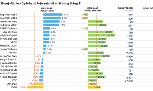 Hầu hết các quỹ cổ phiếu thua lỗ trong tháng 11, nhóm quy mô lớn tăng tỷ trọng tiền mặt 