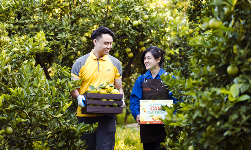 Việt Nam có sàn thương mại điện tử chuyên biệt nông sản chất lượng cao đầu tiên