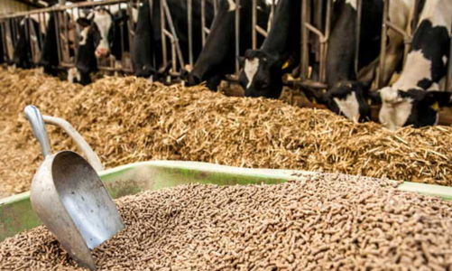 Luật chất lượng hàng hoá nhiều bất cập, dễ bị lạm dụng gây phiền phức cho doanh nghiệp