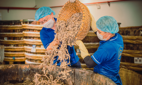 Lối đi mới để gìn giữ làng nghề 200 năm tuổi của thương hiệu nước mắm Thanh Hóa