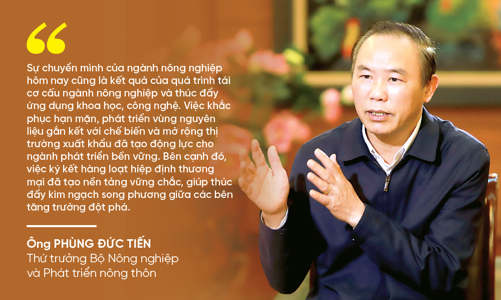 Xuất khẩu nông, lâm, thủy sản điểm sáng rực rỡ của ngành nông nghiệp