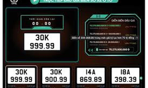 Cấm hành vi thông đồng, móc nối, dìm giá trong đấu giá biển số xe 