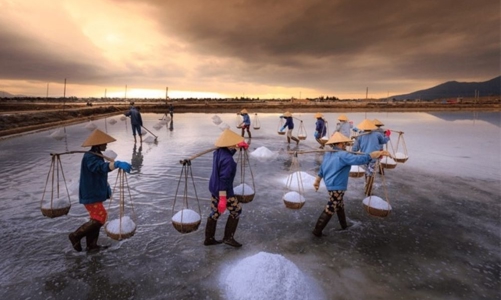 Festival nghề muối Việt Nam - Bạc Liêu năm 2025: Nâng tầm giá trị hạt muối